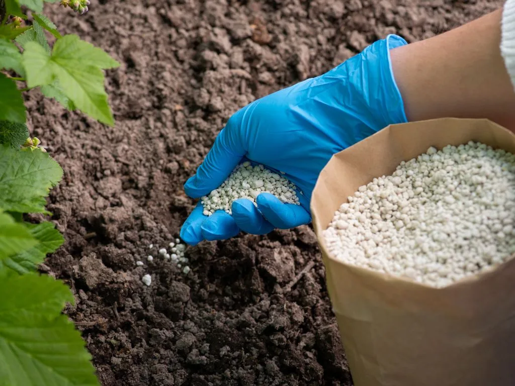Agriculture and Fertilizers