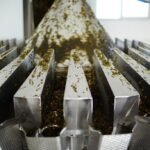 contamination free spice processing with steam sterlisation