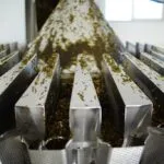 contamination free spice processing with steam sterlisation