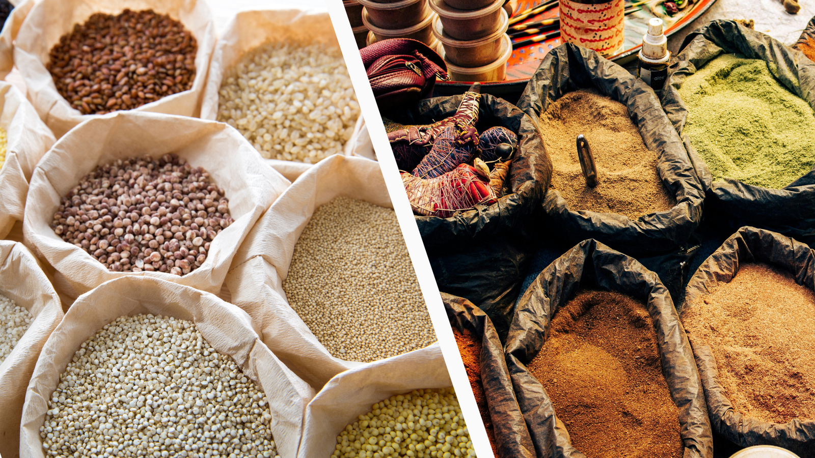 processing machinery India