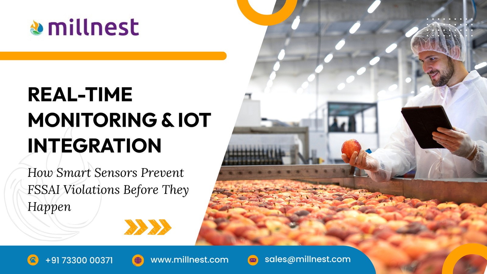 hammer mill for spice processing